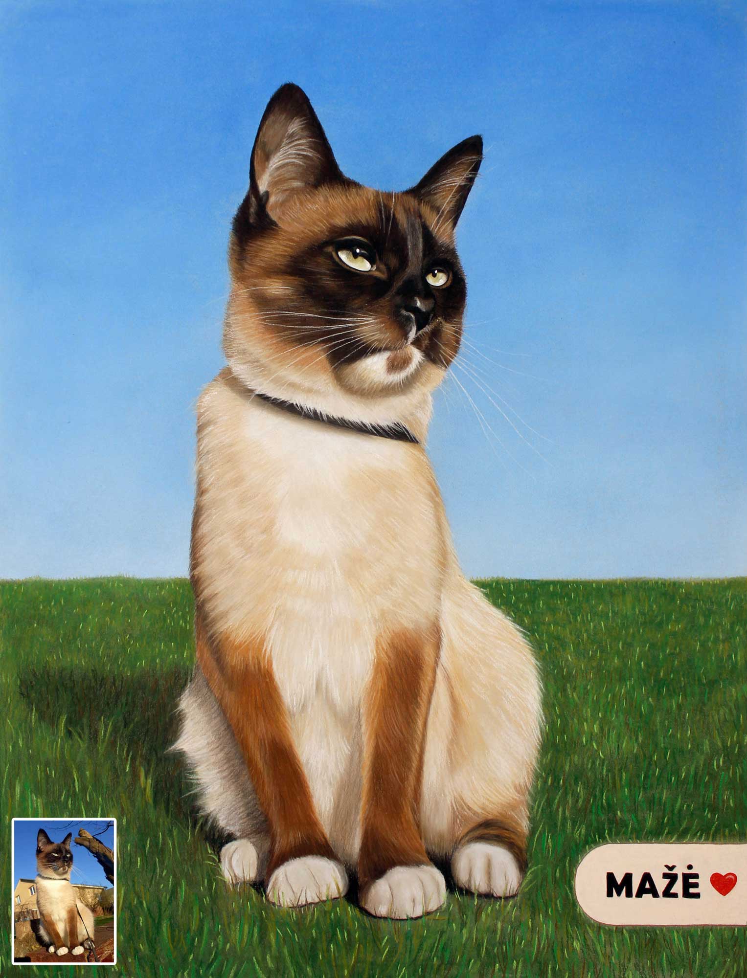 Spalvotas katės portretas iš nuotraukos – gyvūnų ir augintinių portretai, puiki dovana kiekvienam, mylinčiam savo katę. Gyvūnų portretai ir augintinių piešiniai pagal nuotrauką.