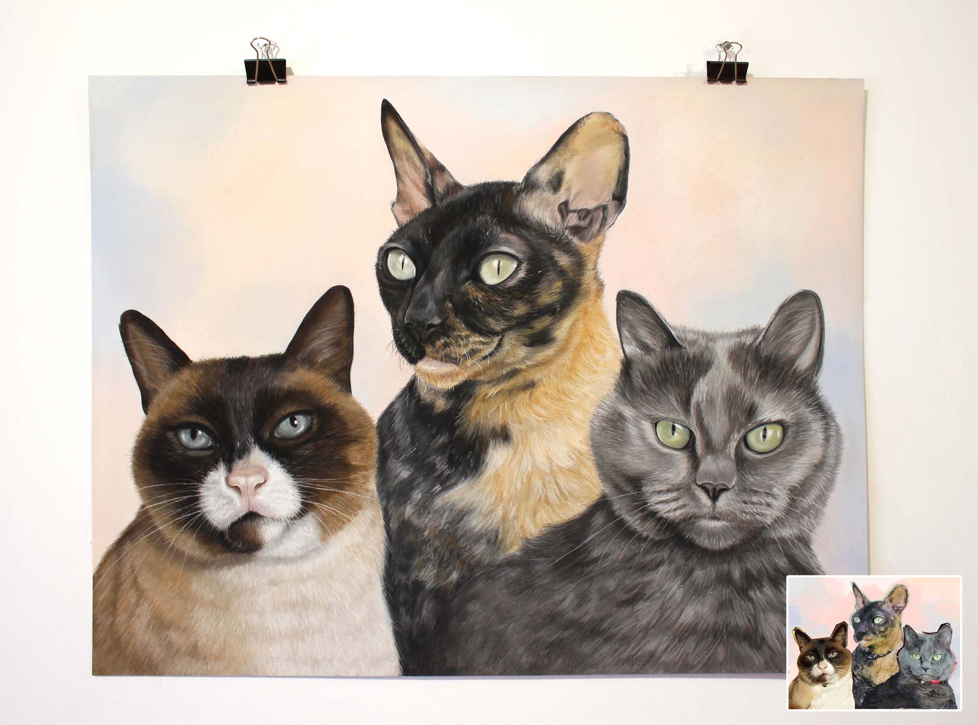 Spalvotas trijų kačių portretas pieštas iš nuotraukų minkštomis pastelinėmis priemonėmis ir pastelinių pieštukų technika